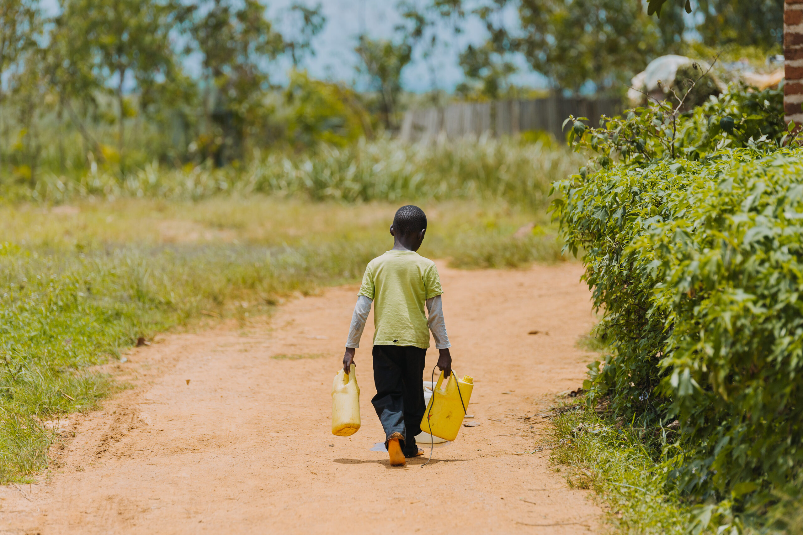 Hausse mondiale du travail des enfants – une menace continue pour les droits des enfants