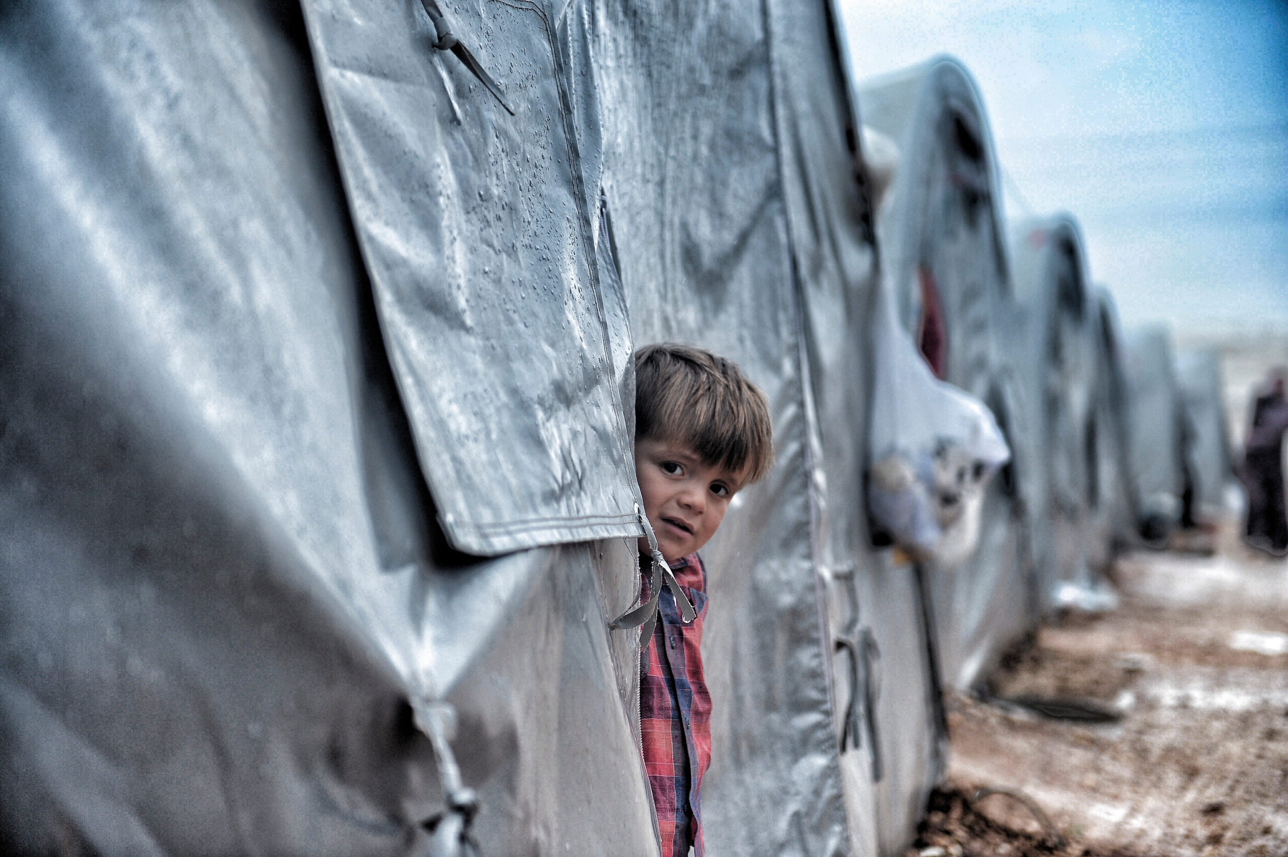 Un véritable cri d’alarme : le rapatriement des enfants étrangers au nord-est de la Syrie