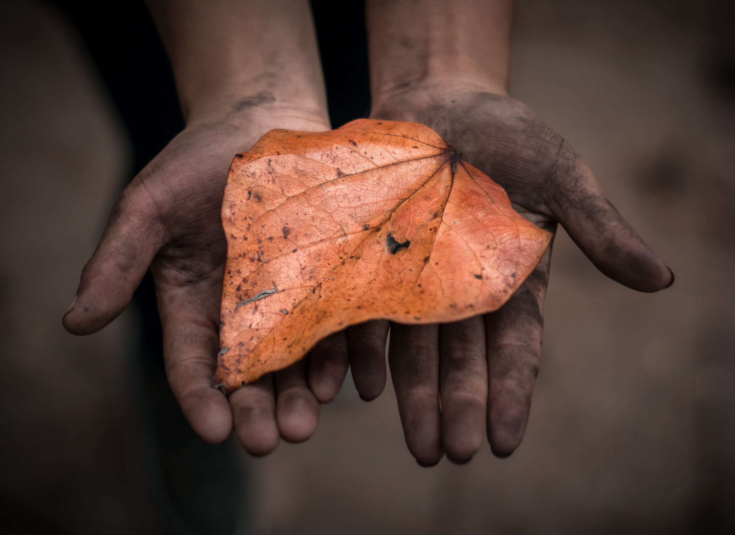 L’impact de la Covid-19 sur le travail des enfants dans les mines de cobalt en RDC