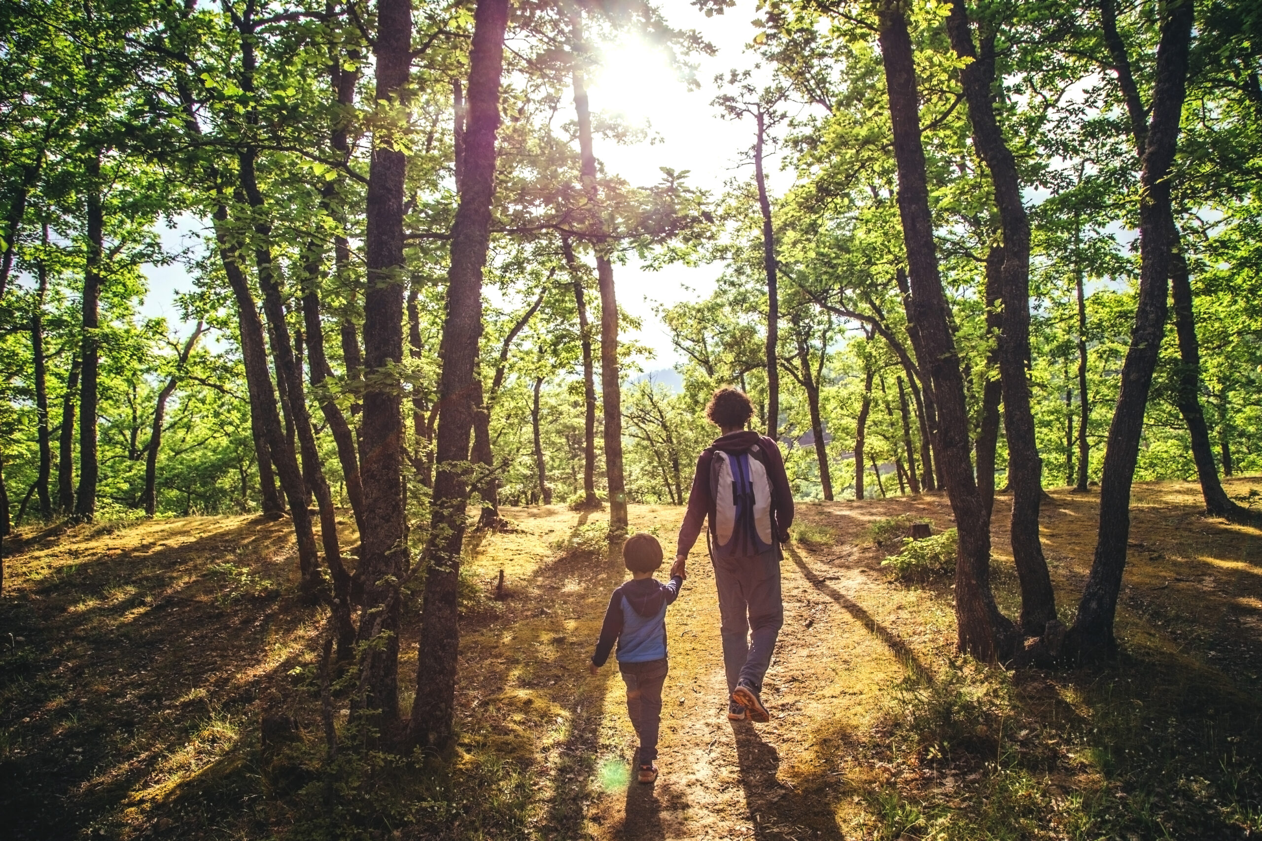 Le droit à un environnement sain est un droit humain fondamental : la Résolution du CDH des Nations Unies