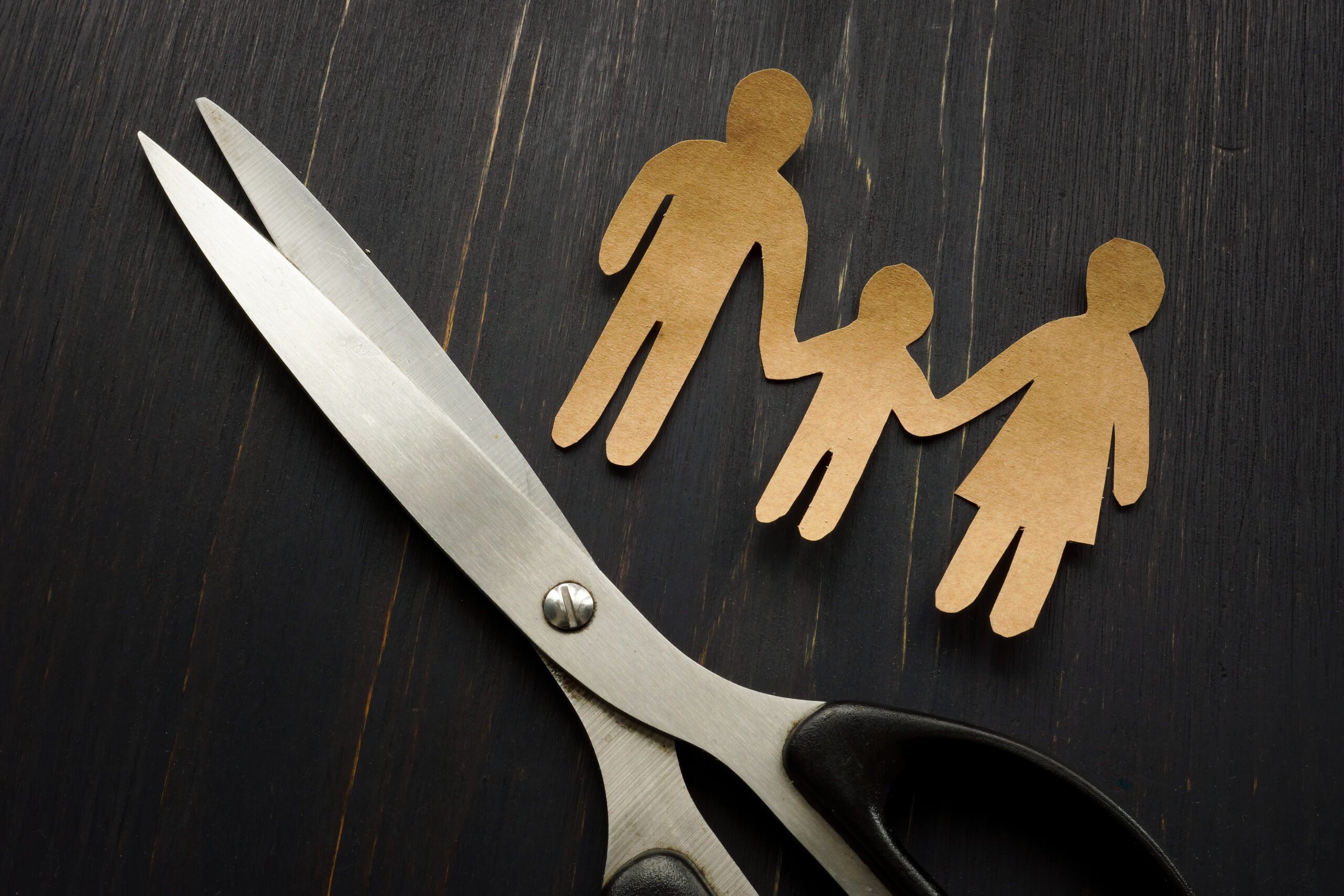 L’impact de l’«aliénation parentale» sur l’intérêt supérieur de l’enfant dans les cas de violence domestique