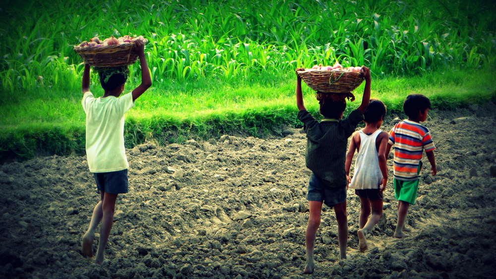 Le travail infantile en Inde